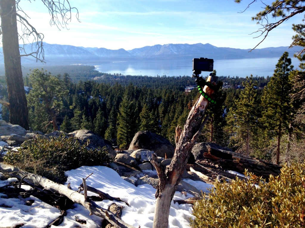 xsories van sickle fat bike