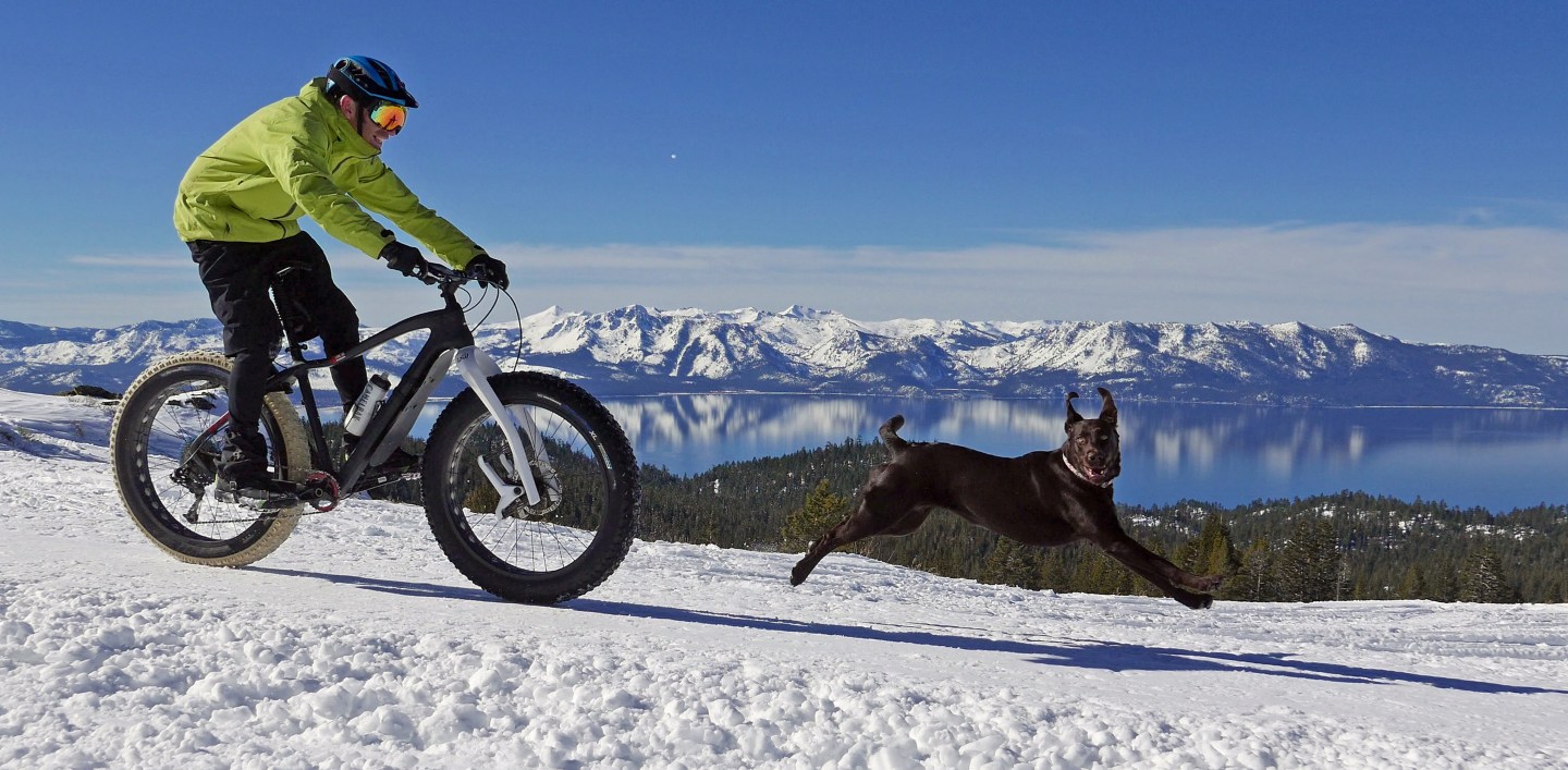 Anthony Cupaiuolo and his dog, Emmie, above Lake Tahoe, as captured in "Off the Beaten Path."